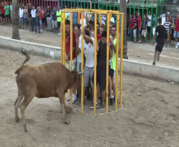 <b>牛哥们已经破解了</b>